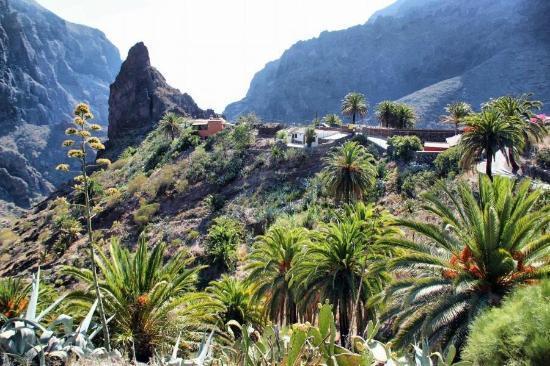 Marody Tenerife House El Médano Buitenkant foto